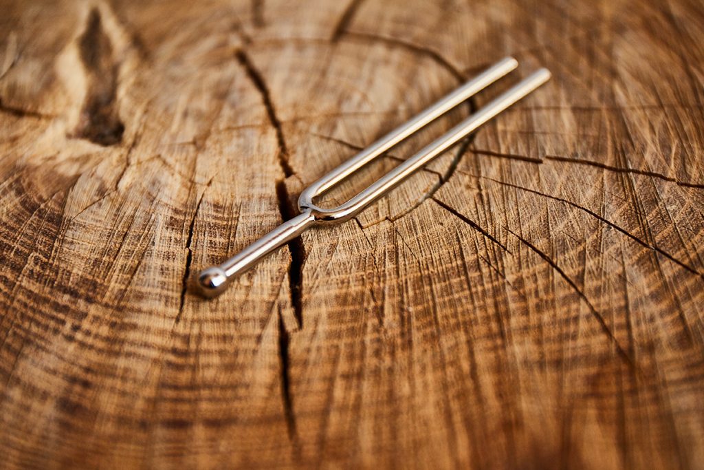 Stimmgabel auf Baumstumpf.